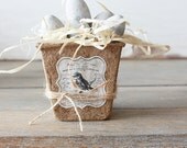 Peat Pot with Weathered Robins Eggs - Set of Six