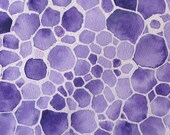 Lavender - original watercolor of plant cells
