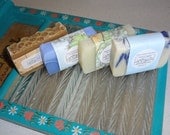 Sampler Pack of Hand Made Artisan Soaps Lightly Scented All Natural