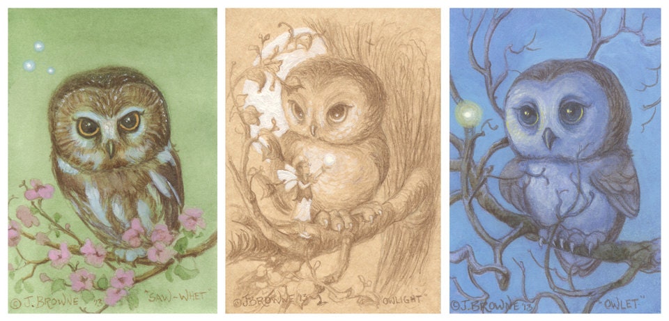 Little Owl Hooters 5x7 Print Set of 3 Collection