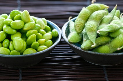 Organic Midori Giant Edamame Soybean Seeds