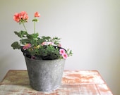 Galvanized Sap Buckets Vintage Set of 5 Zinc Container Planters Shabby Chic Cottage Wedding Decor Farmhouse Industrial Decor