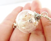 Real Dandelion Seed Glass Orb Necklace In Silver Small Orb