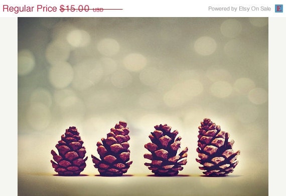 SALE 30% OFF Winter Art Photos: Pine Cones 5x7 Fine Art Nature Photography Christmas pine cone nature photos botanical art prints