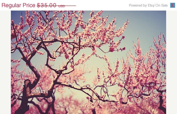 SALE 30% OFF Nature photography Color: Cherry Blossoms 8x12 Fine Art Photo Spring Whimsical wall art botanical art prints Cherry blossom tr