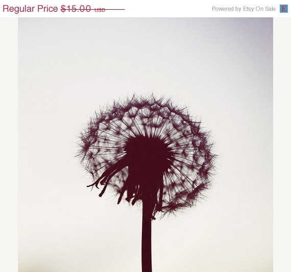 SALE 30% OFF Dandelion Art Photograph Whimsical Flower Macro 5x5 Fine Art Print Floral Photo silhouette