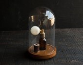 Glass Display Cloche with Rustic Wooden Base