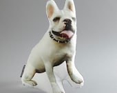 Hudson the White French Bulldog Canvas Printed Pillow