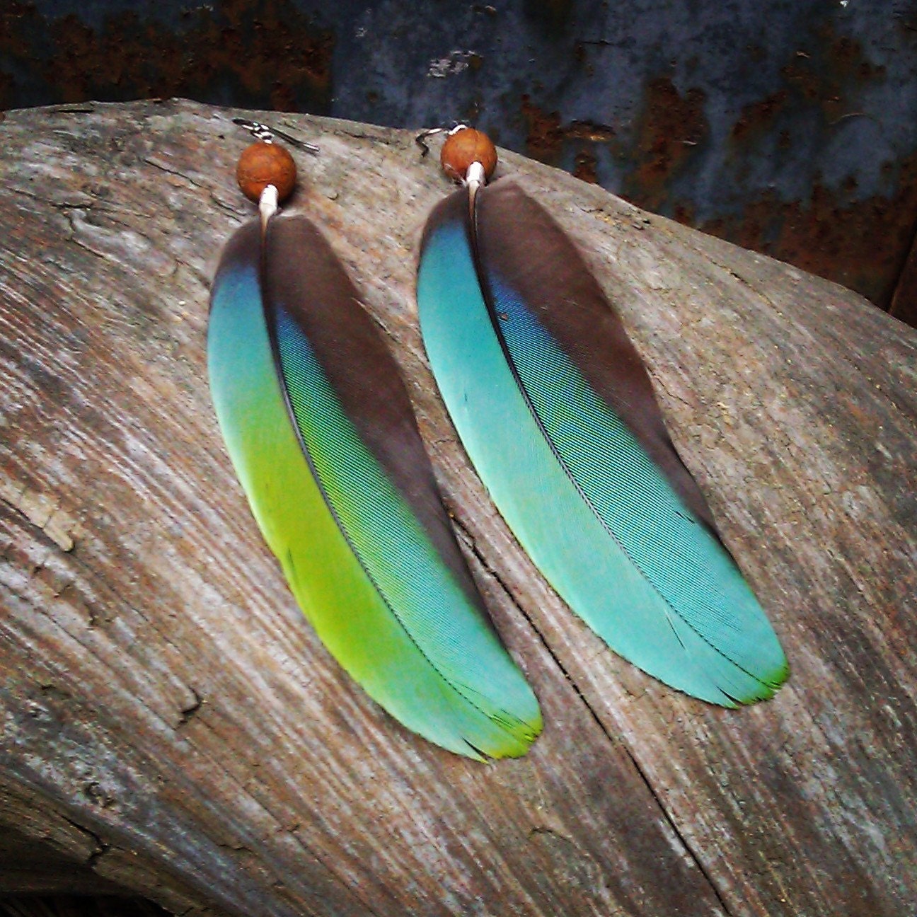 Turquoise feather earrings