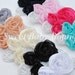 Imperial Lace Chiffon Flower Appliques Pick 10
