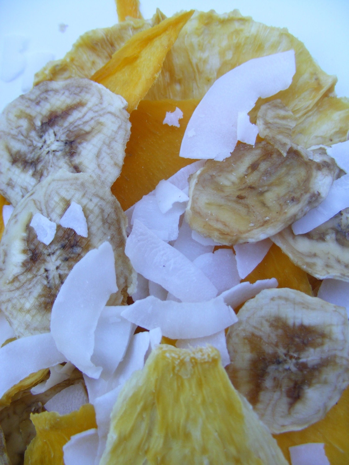 Truly Tropical Mixed Fruit - All Organic - Coconut - Pineapple - Banana - Mango