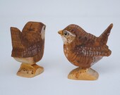 Willodel Wren