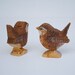 Willodel Wren