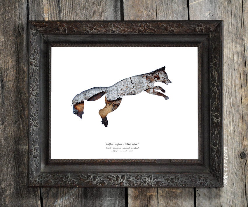 Fox Silhouette In Bark : Woodland Animal - Eco Decor, Nature Photography - Rustic Cabin, Lodge, Home, Nursery Art, Gift Idea