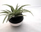 Mini Air Plant Colorblock Container Pod // Black & White Plant Vessel // Home and Garden