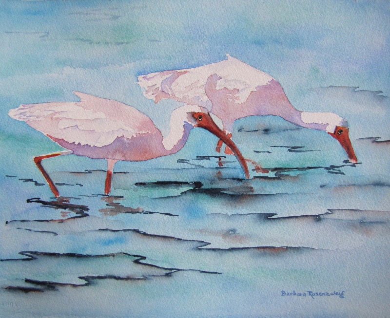 Ibis White Bird Wildlife Beach Painting, Ocean Seashore Art Print Reproduction of Original, Florida Waterbird, Barbara Rosenzweig, Etsy