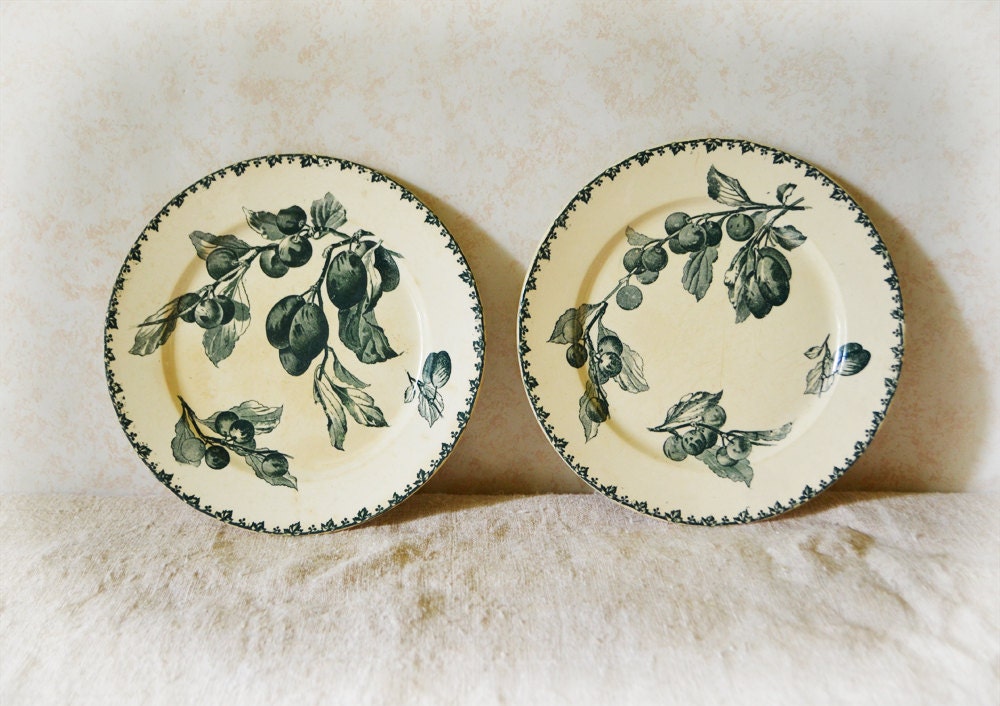 2 French Plates Plum fruits SARREGUEMINES