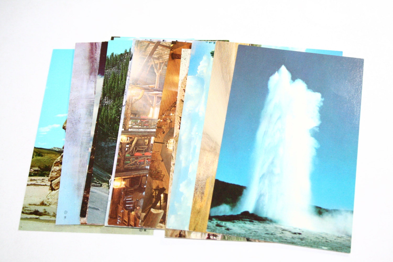 15 Vintage Yellowstone Chrome Postcards Blank - Wedding Guestbook