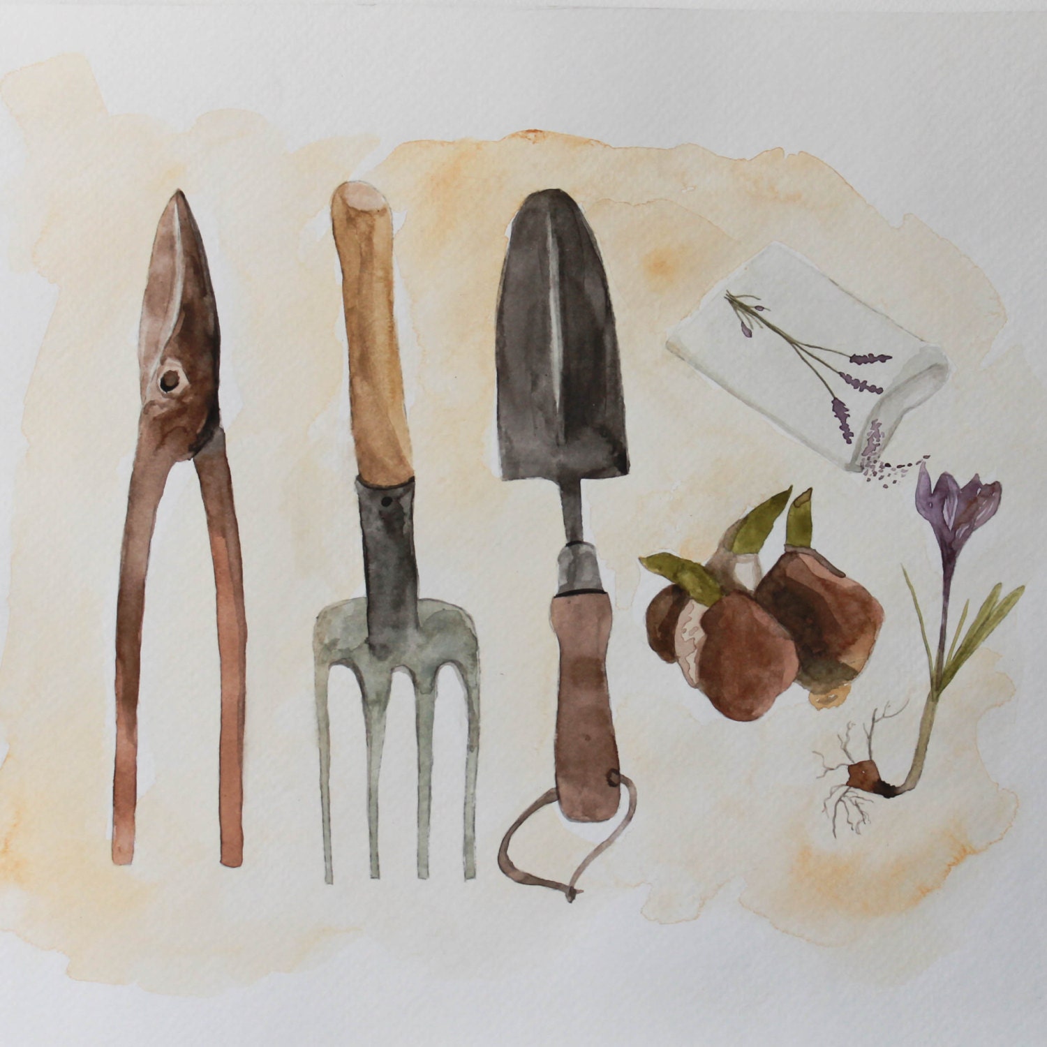 Garden Melodies Limited Edition Print