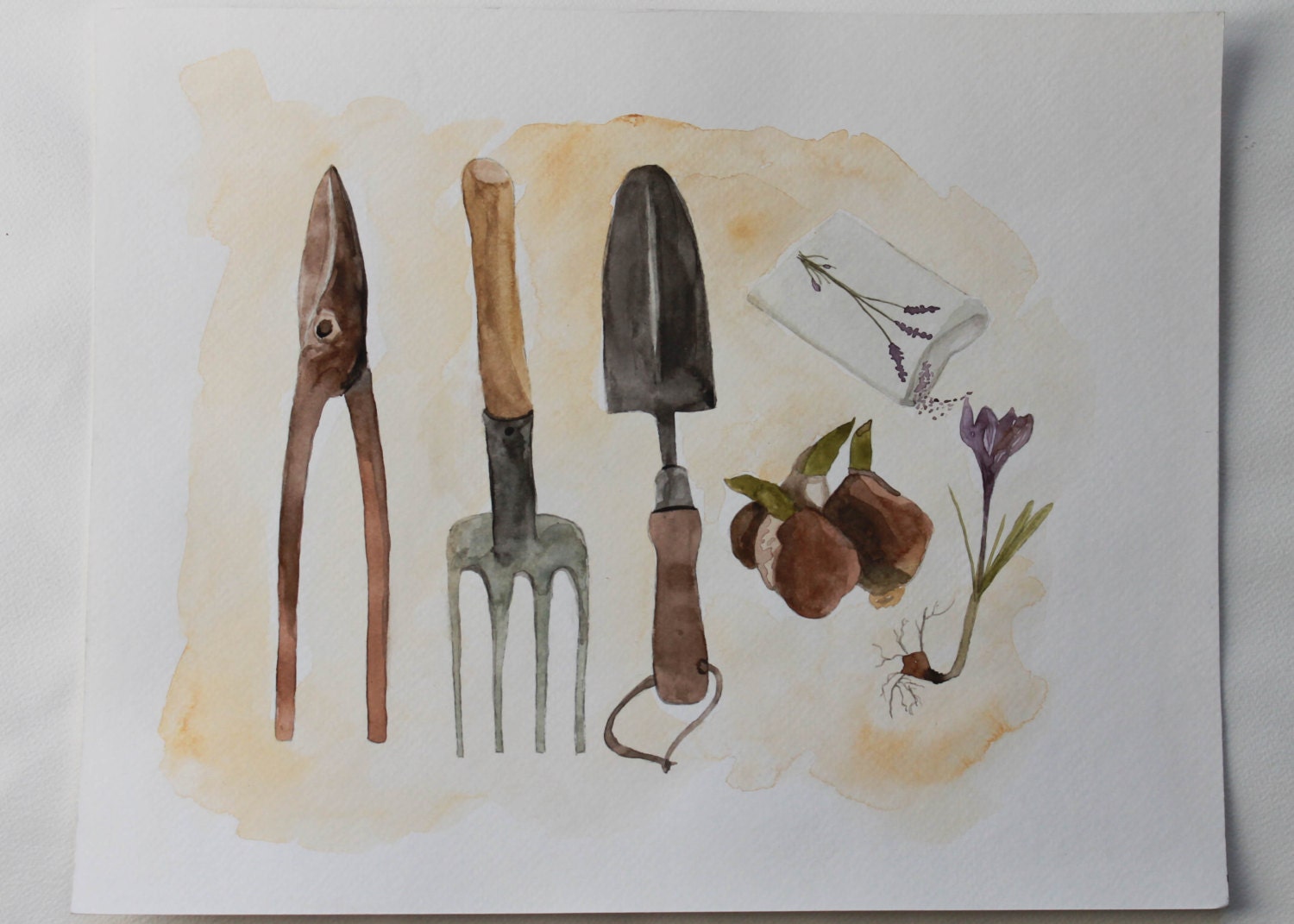 Garden Melodies Limited Edition Print