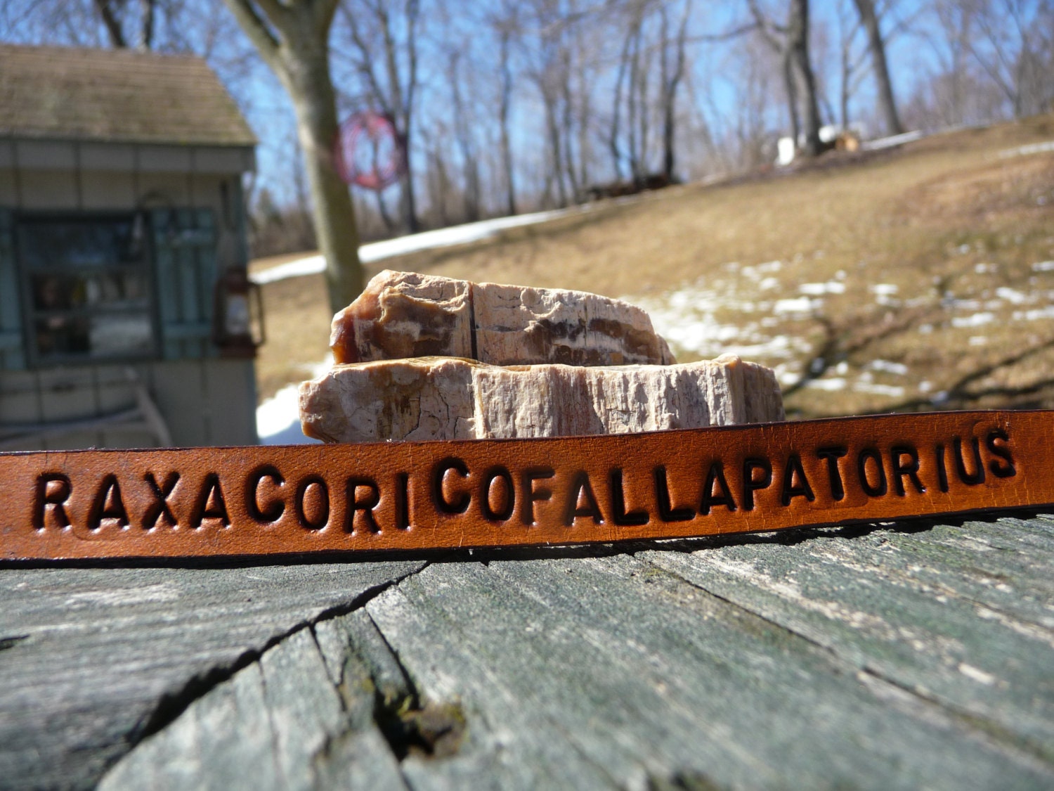 Raxacoricofallapatorius- 10th Doctor- David Tennant- Doctor Who Hand Stamped Leather Cuff- Leather Bracelet