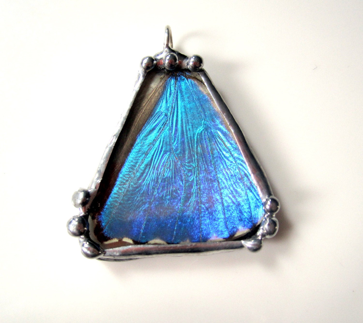 Real Blue Iridescent Butterfly, Blue Morpho