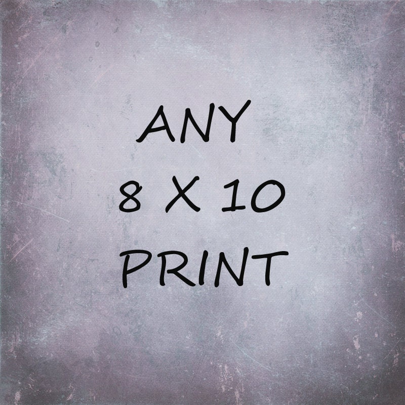 Any Photograph 8x10 you Choose Nature Tree Animal Carnival Nursery Decor Dreamy Surreal Still Life
