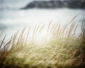Landscape Photography, Beach Decor, Soft Green, Aqua, Pale Blue, Sea Grasses, Nautical Dunes, Beach Photography, Ocean Art, Sea Print.
