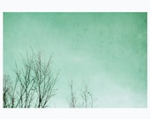 Woodland tree branch photography print, 8x12 inch - Serenity - blue, nature wall decor, mint green