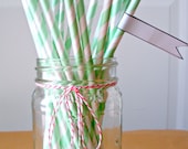 25 Mint Striped Straws,  Striped Paper Straws, Party Straws, Wedding Straws