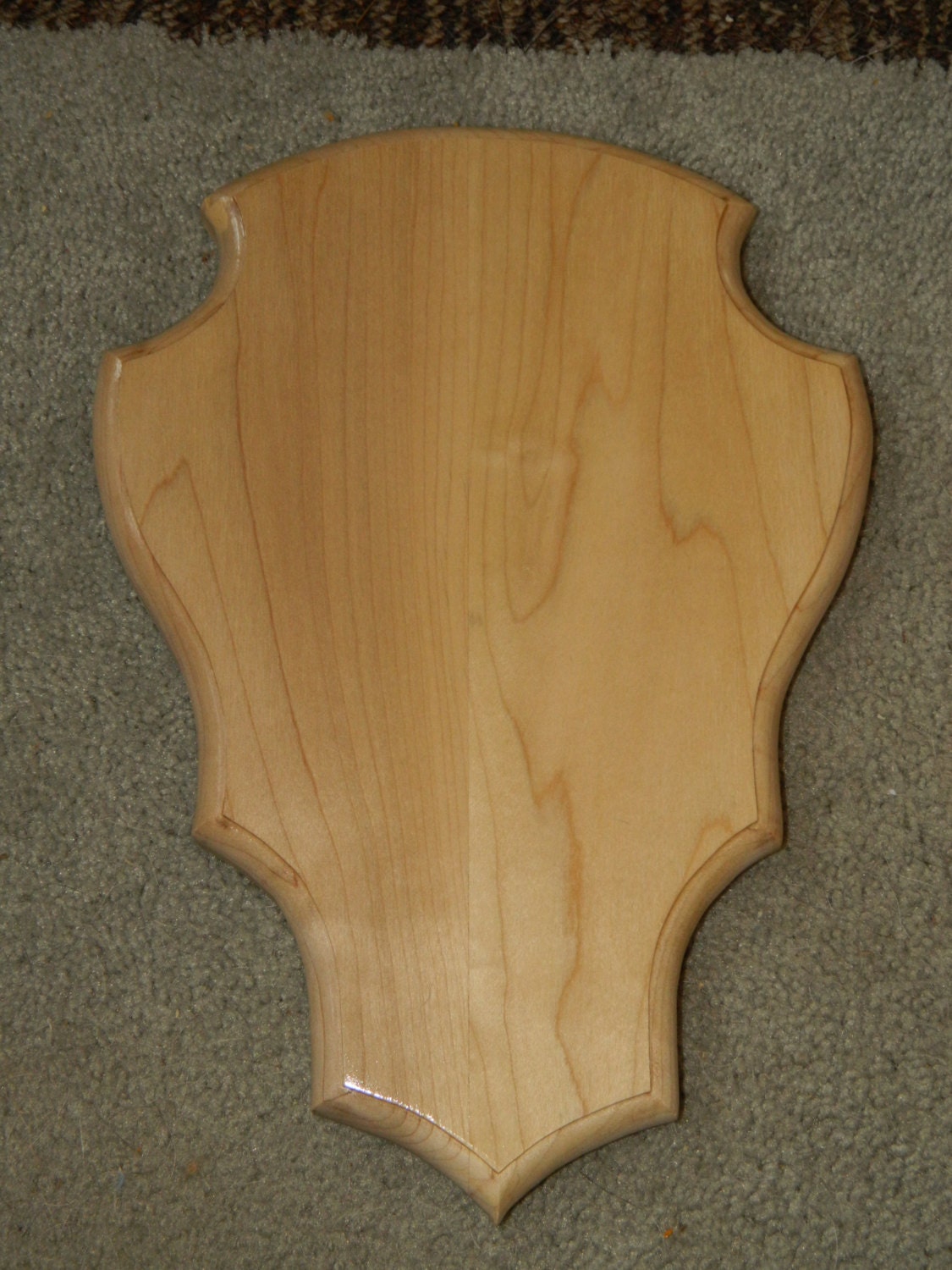 Maple Taxidermy Plaque - clearance priced
