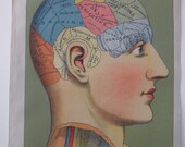 original page - 1905 color MEDICAL CHART from antique medical book - brain, phrenology