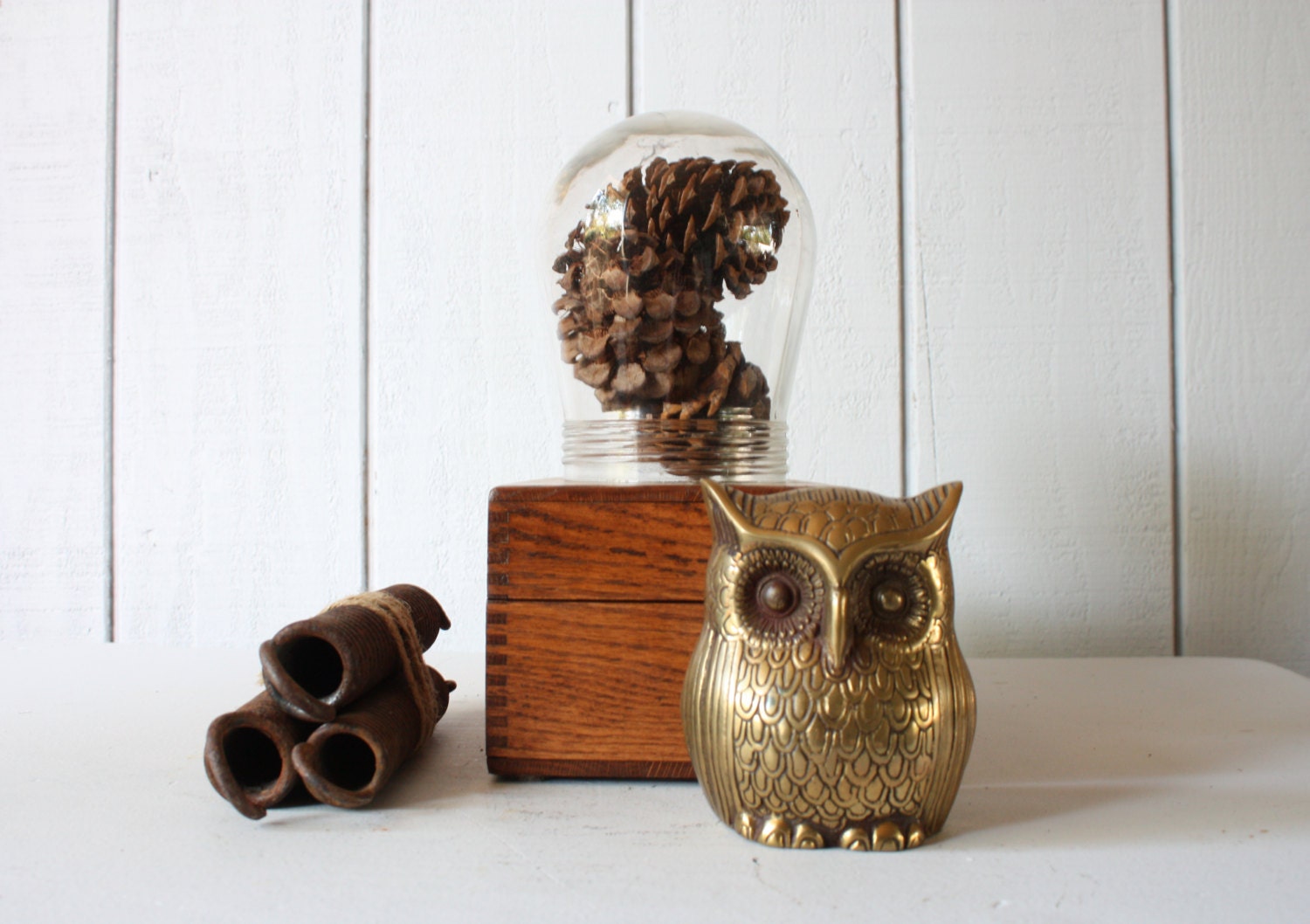 Glass Light Cover // Display Cloche