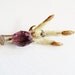 Antique Victorian Brooch Grouse Foot Claw Scottish Kilt Pin Taxidermy Silver Amethyst Glass Steampunk Goth