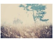 winter grass field dew gold color photo print - whimsical fine art nature photography, cream, light, purple, tree, bokeh - 14x11