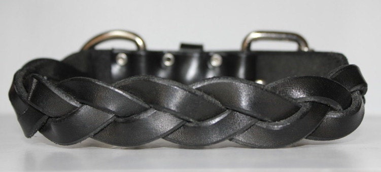 Tootsie Collar