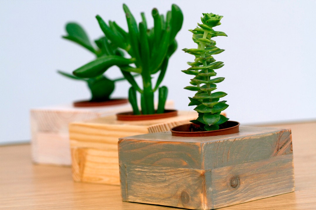 Succulent planter set of 3, office decor wooden succulent plant pots rustic gray, white and antique pine