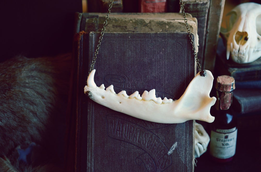 Coyote Jaw Necklace