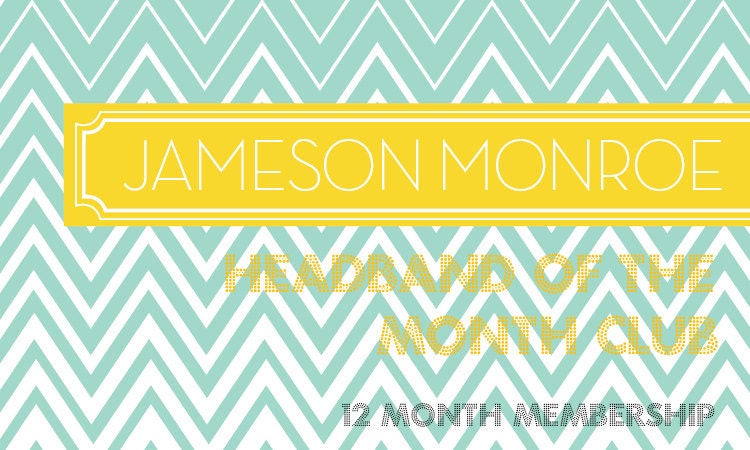 HEADBAND of the MONTH CLUB - 12 Month Membership - New Headband delivered every month - baby newborn toddler