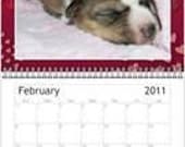 Basenjis 8x10 wall calender