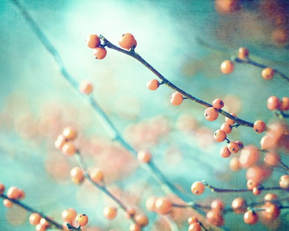 11x14 Photograph - nature teal turquoise peach orange mint green - fine art print 11x14 botanical wall art - branches photography artwork