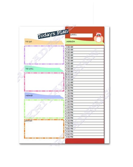 day planner organizer, pdf printable, daily planner owl, to do list, INSTANT digital download, pdf file