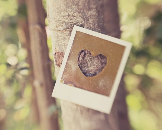 Golden heart photograph- whimsical, polaroid, spring, bokeh, nature, woodland, tree, fine art photography, 8x10 print