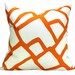 Zimba pillow cover in Orange - 20 x 20