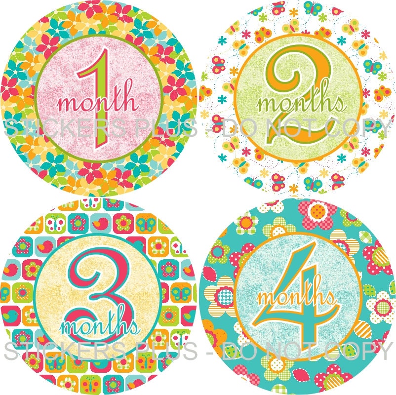 SALE Baby Girl Monthly Onesie Stickers Plus Bonus Just Born - Flowers Butterfly Birds Green Blue Yellow Pink - 1-12 Months - Shower Gift
