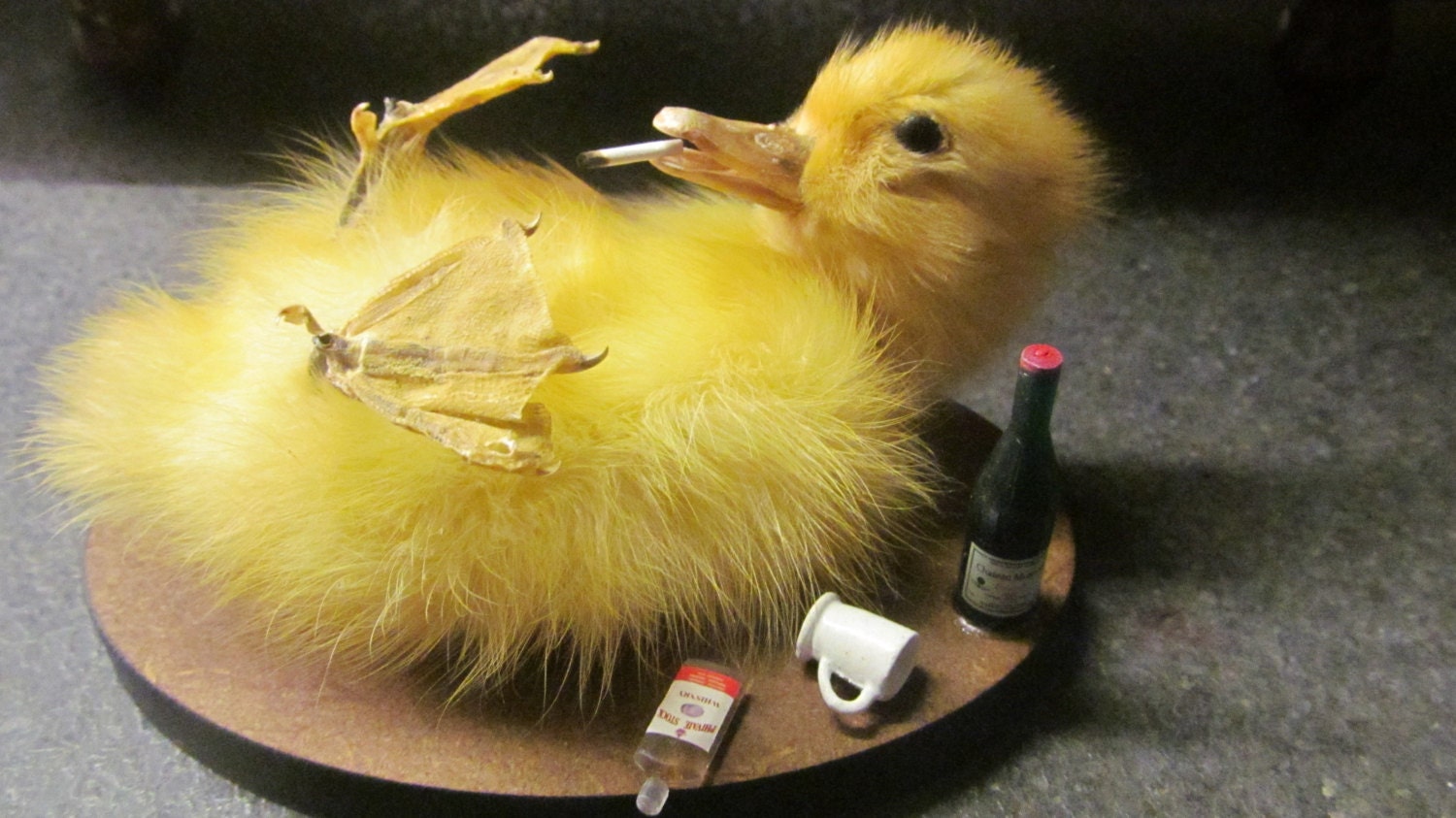 Taxidermy Drunken Duckling little party animal