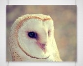 Barn Owl Photography / fairytale woodland creature / nursery decor / plum purple golden yellow cream /  8x10 photograph print / "Within You"