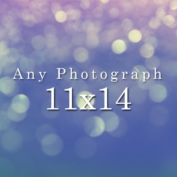 Any 11x14 Print.