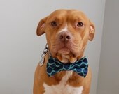 Capri Bow Tie