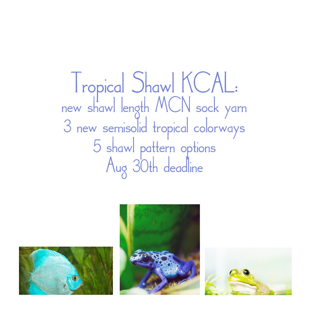 Signups Close Today. Tropical Shawl KCAL - Hand Dyed Yarn - MCN Sock Yarn in 3 New Colorways, 600y 150g skein - Preorder.